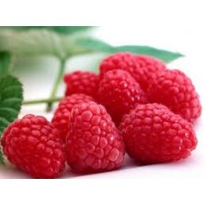 Raspberry 10ml Capella